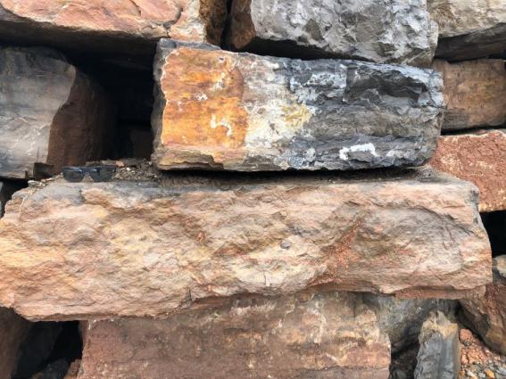 ESCOLLERA DE SALLENT 