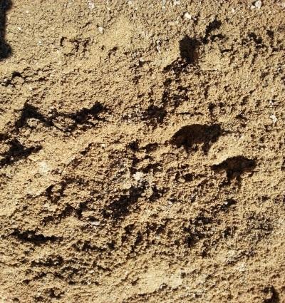 Sorra 0/2mm Rentada  2