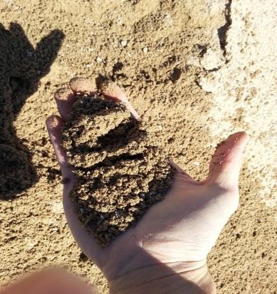 Arena 0/2mm lavada  3