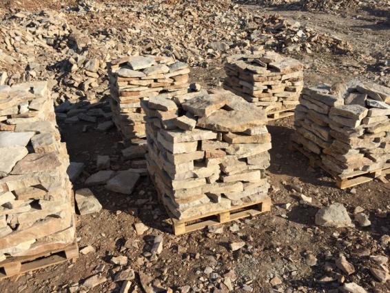 Llosa 5-7 cms panadella (PL006) 3