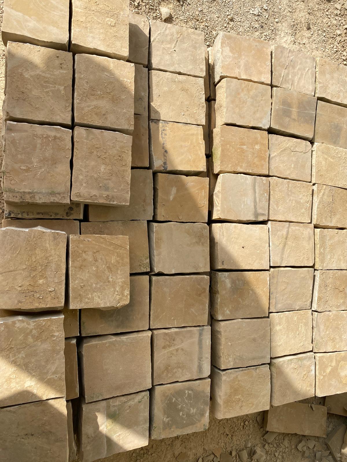 Llamborda calcària d'Alcover 3