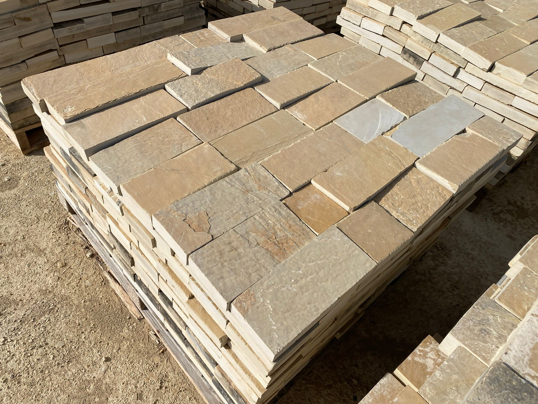 Llamborda calcària d'Alcover 2