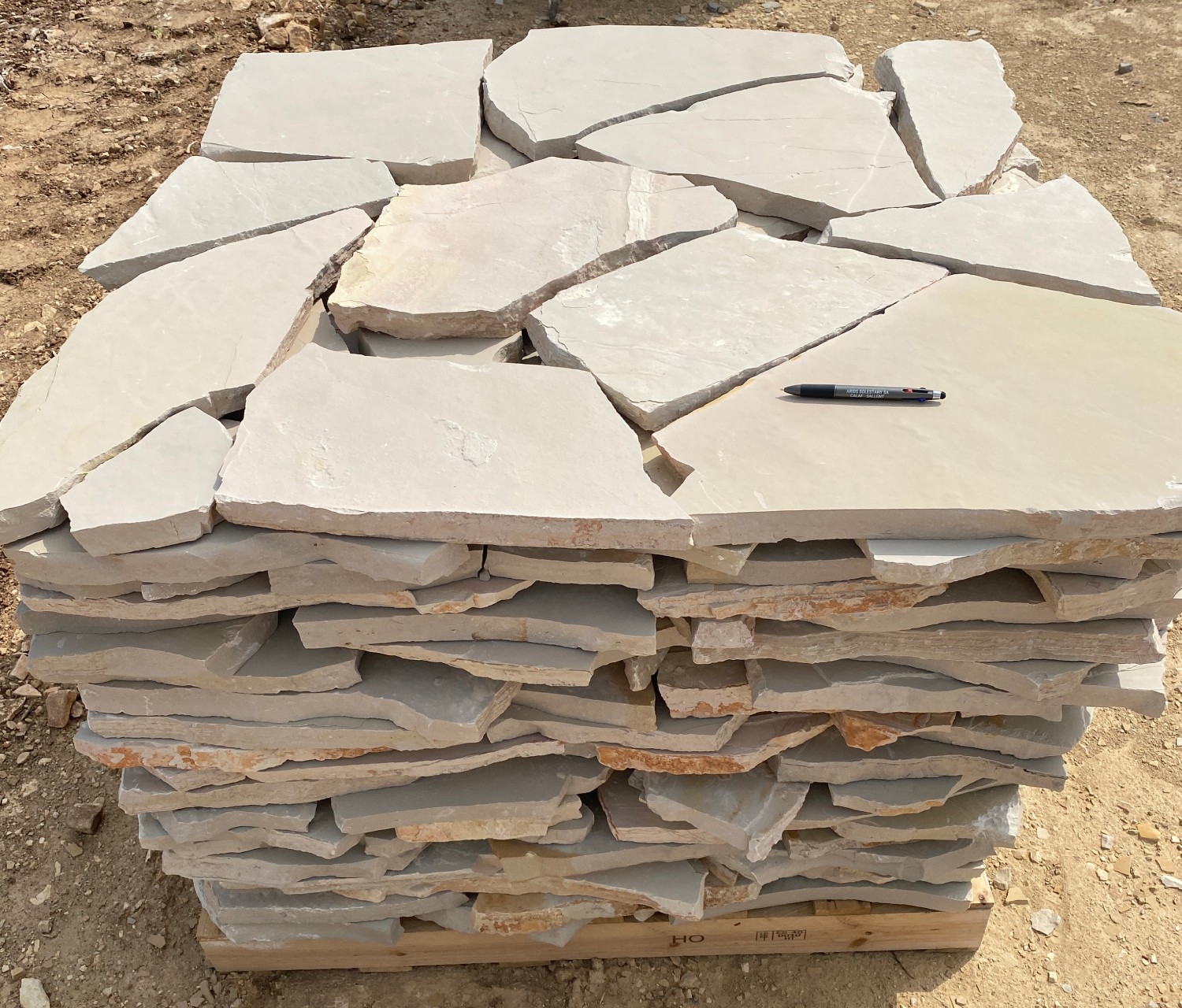 Llosa gris platí d'Alcover 2