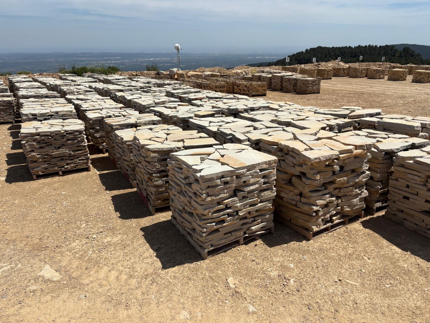 Llosa gris platí d'Alcover 3