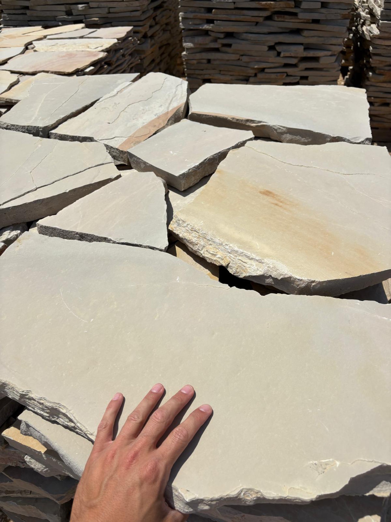 Llosa gris platí d'Alcover 4