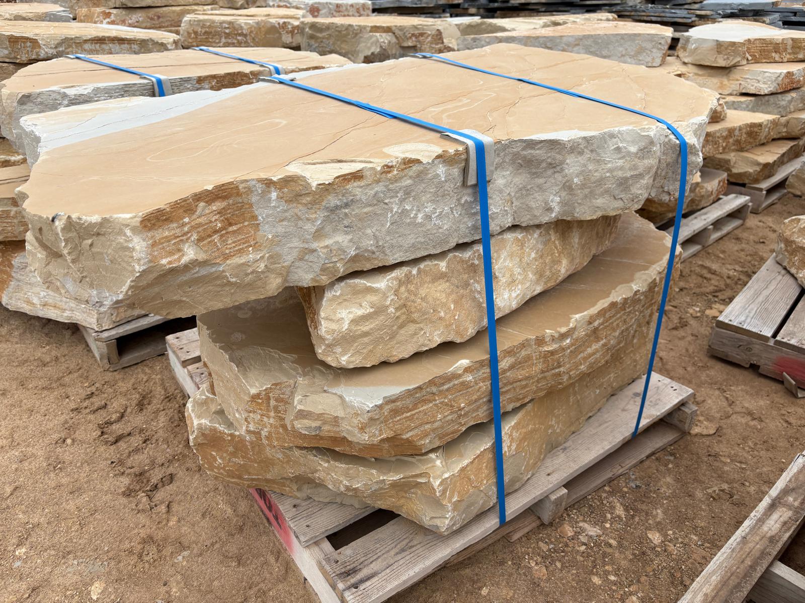 Grans lloses Alcover 2