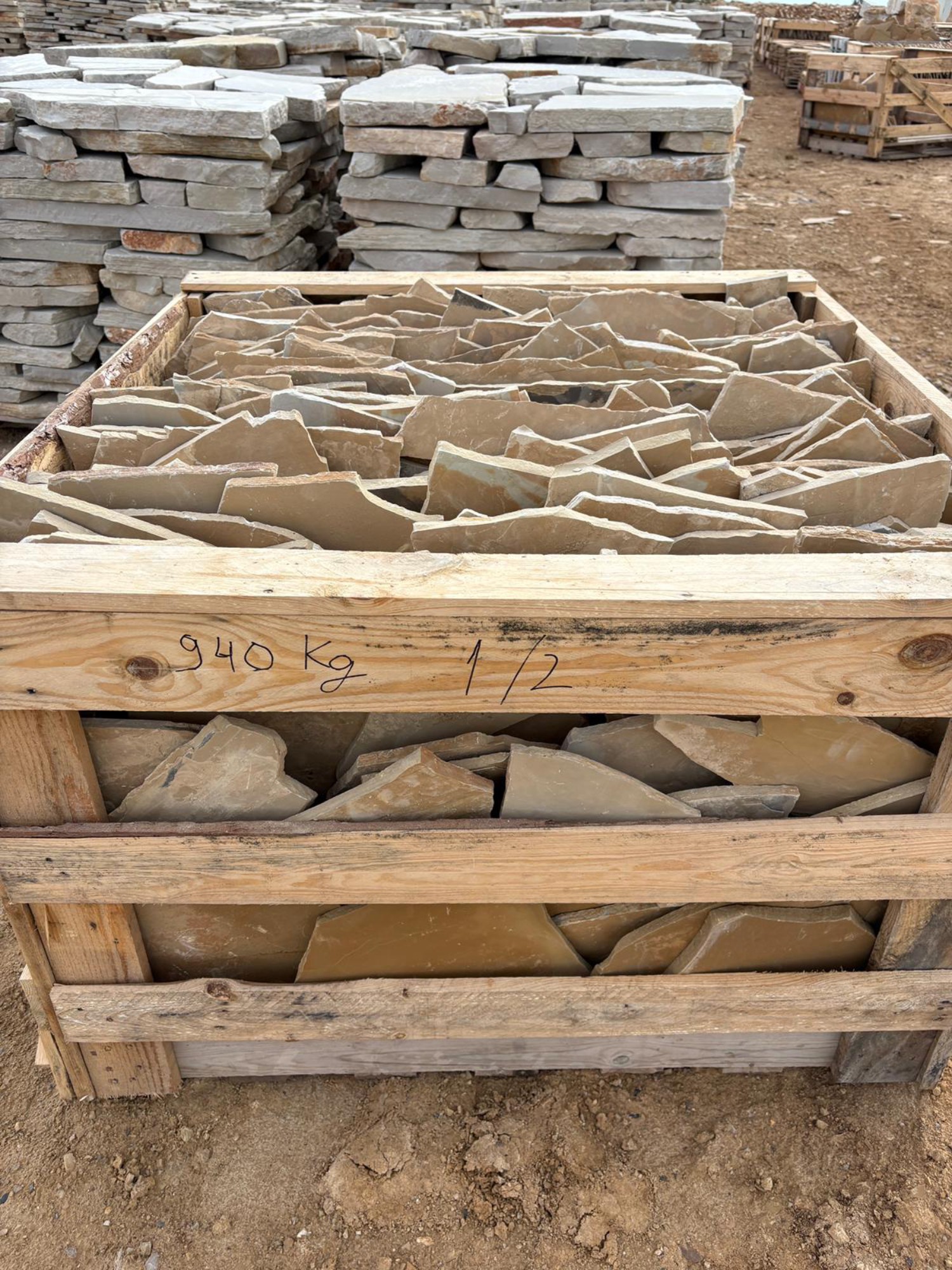 Llosa beix d'Alcover  2