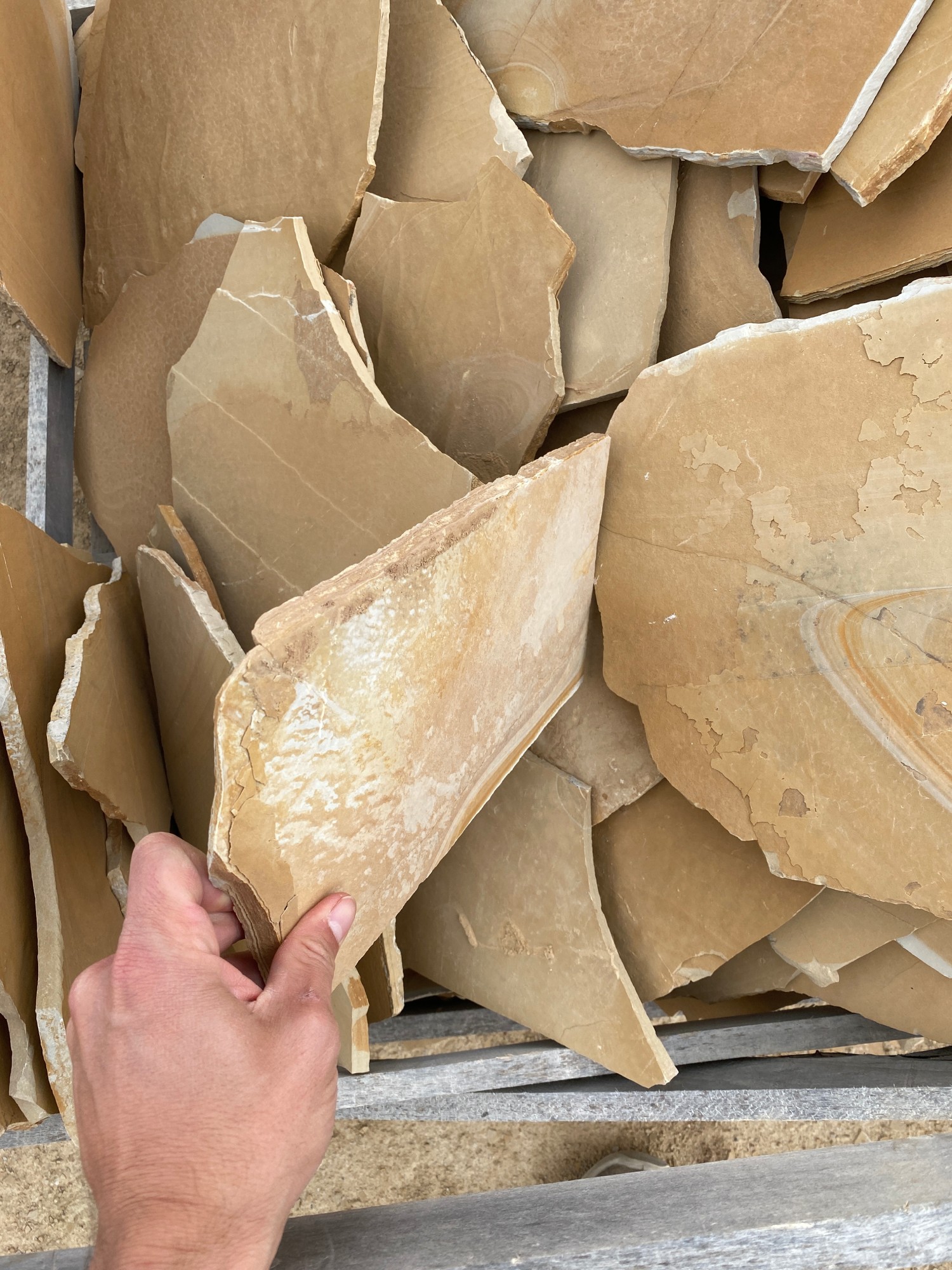 Llosa beix d'Alcover  3