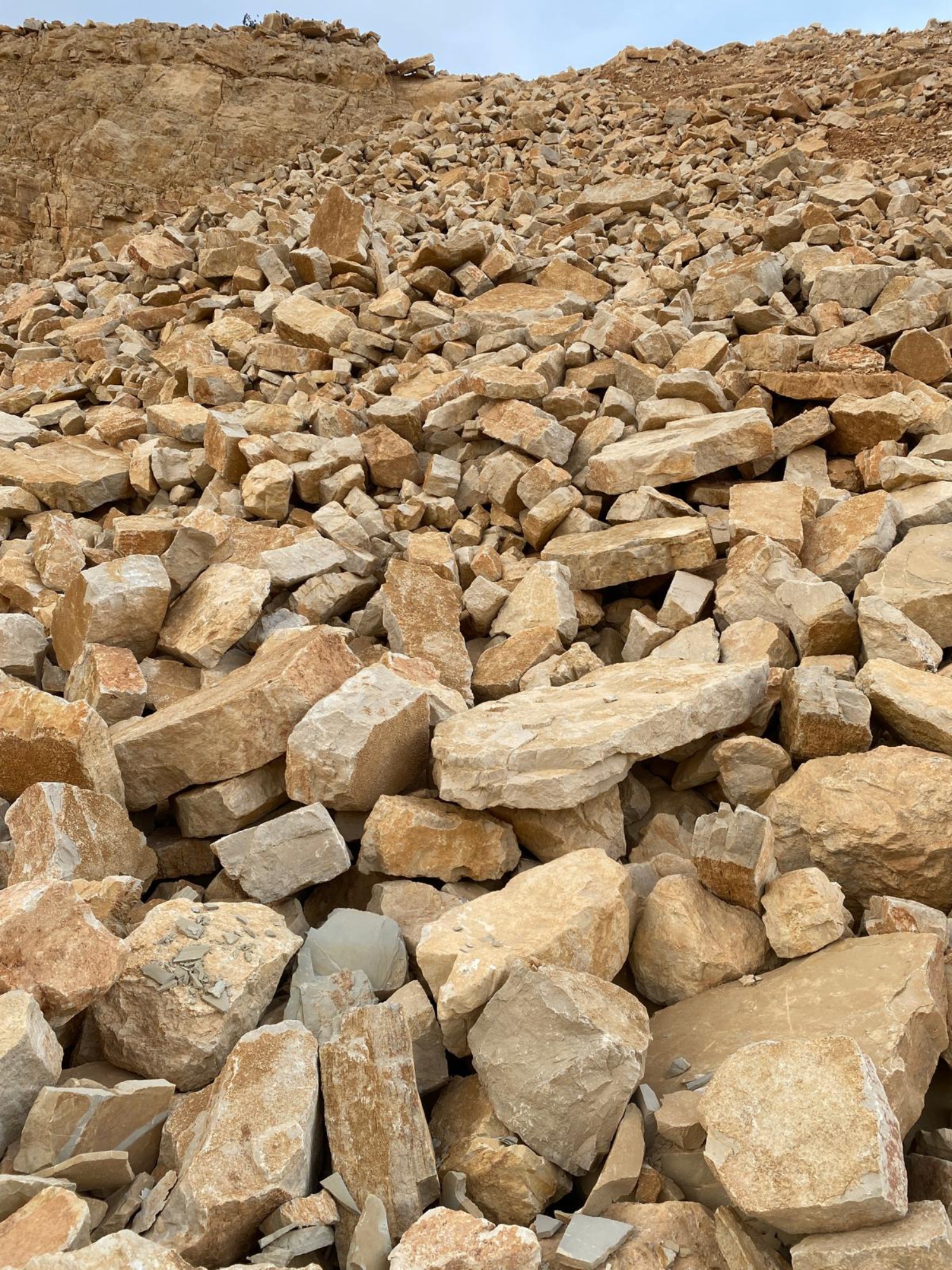 Rustica Alcover (num 7) 4