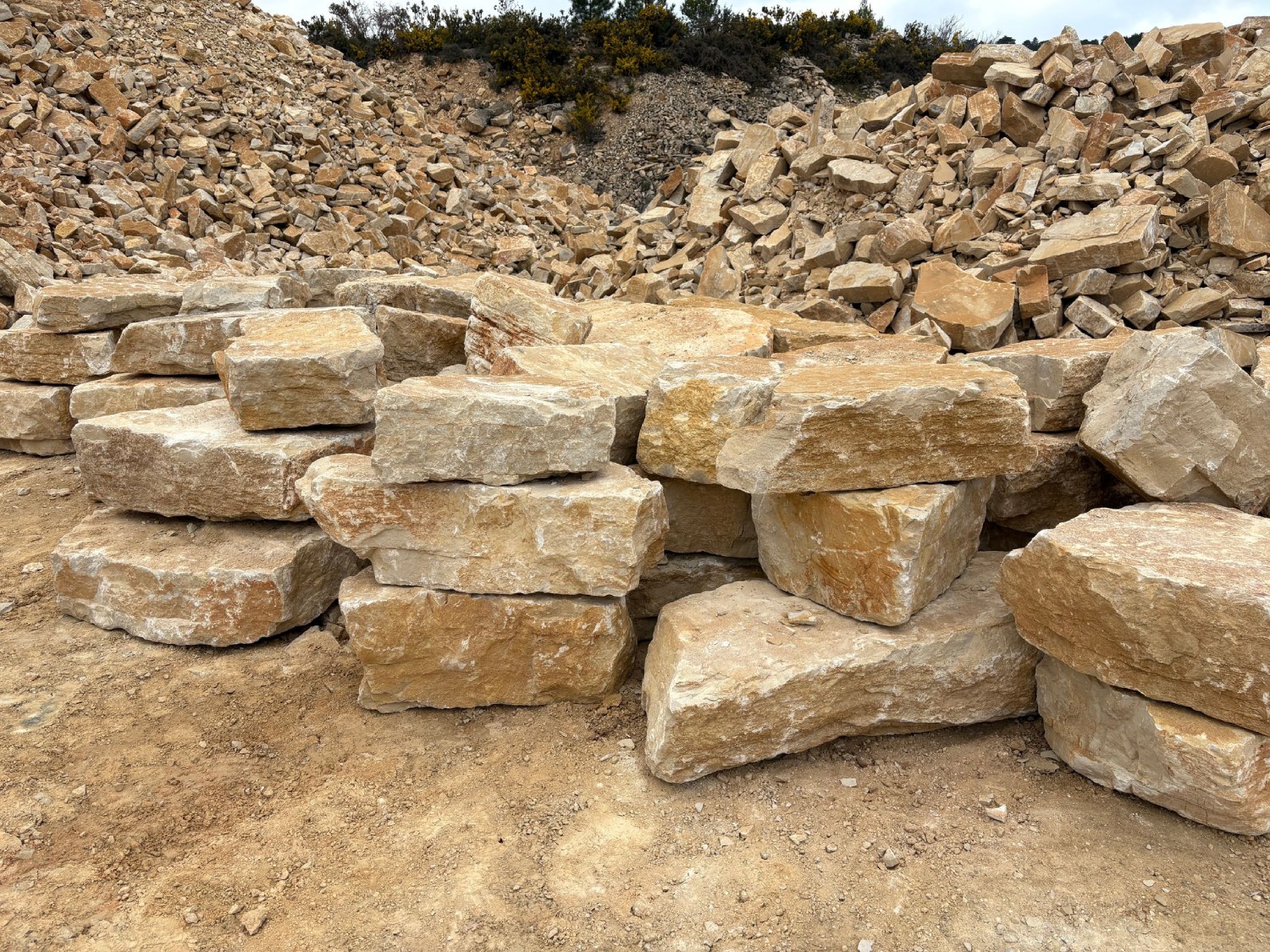 Pedrera d’Alcover 1