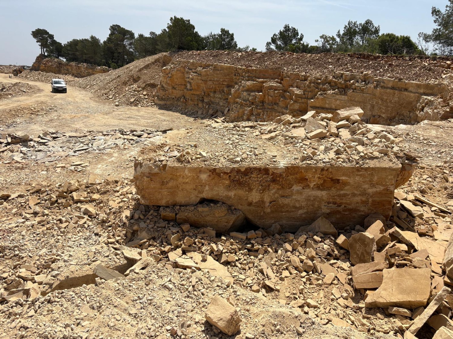 Pedrera d’Alcover 2