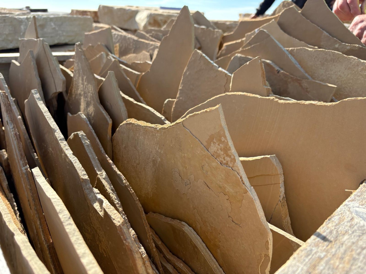 Pedrera d’Alcover 2