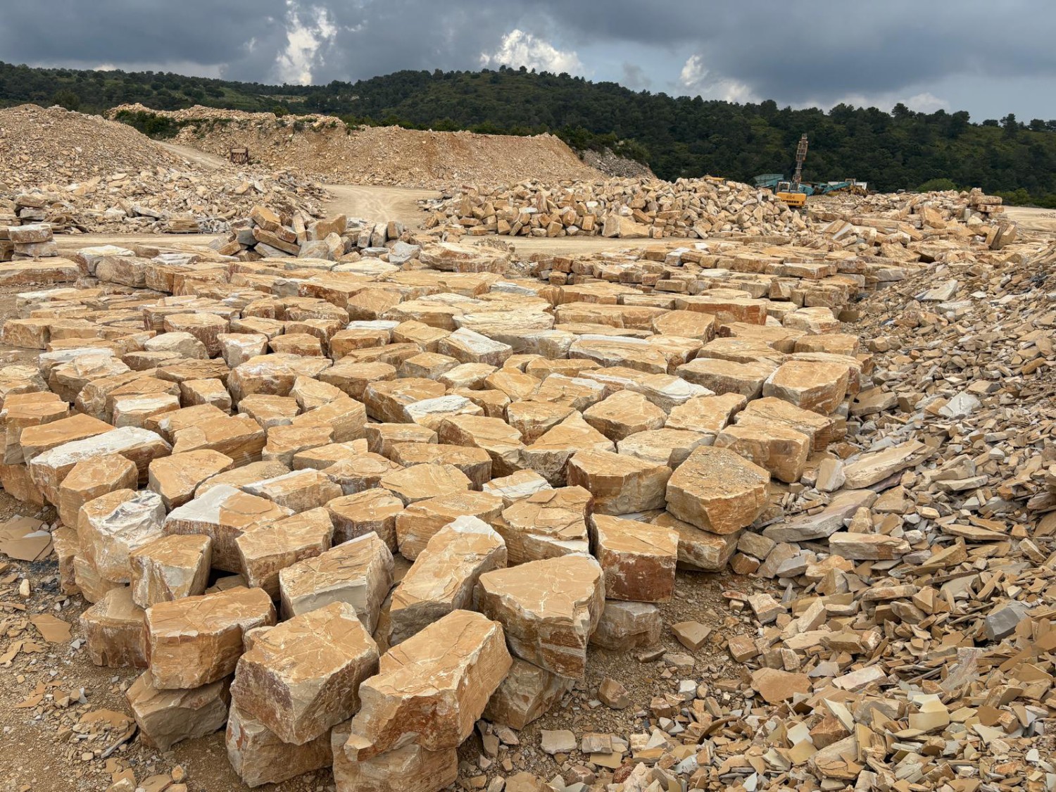 Pedrera d’Alcover 1