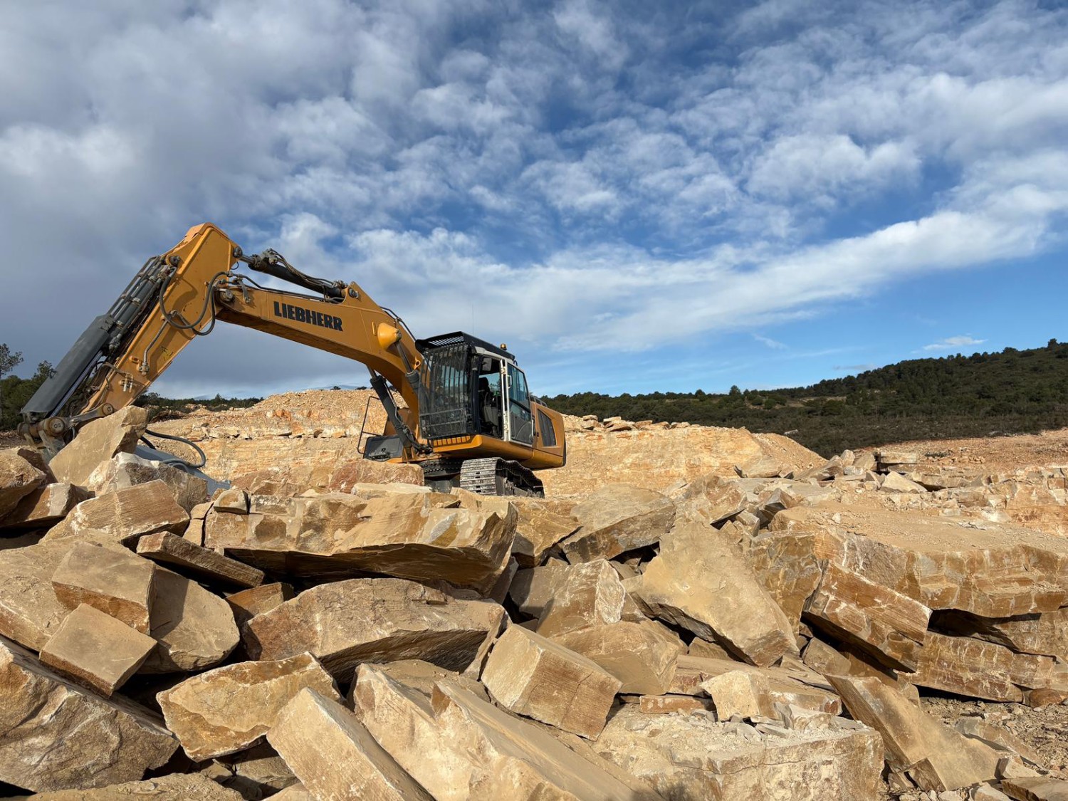 Pedrera d’Alcover 3